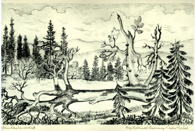 schachtenlandsch_kaltn-rad_w